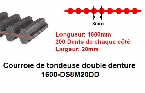 Schema courroie honda 2216